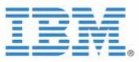 ibm logo